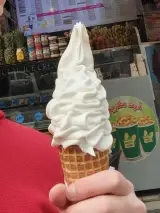 آب میوه و بستنی فردین