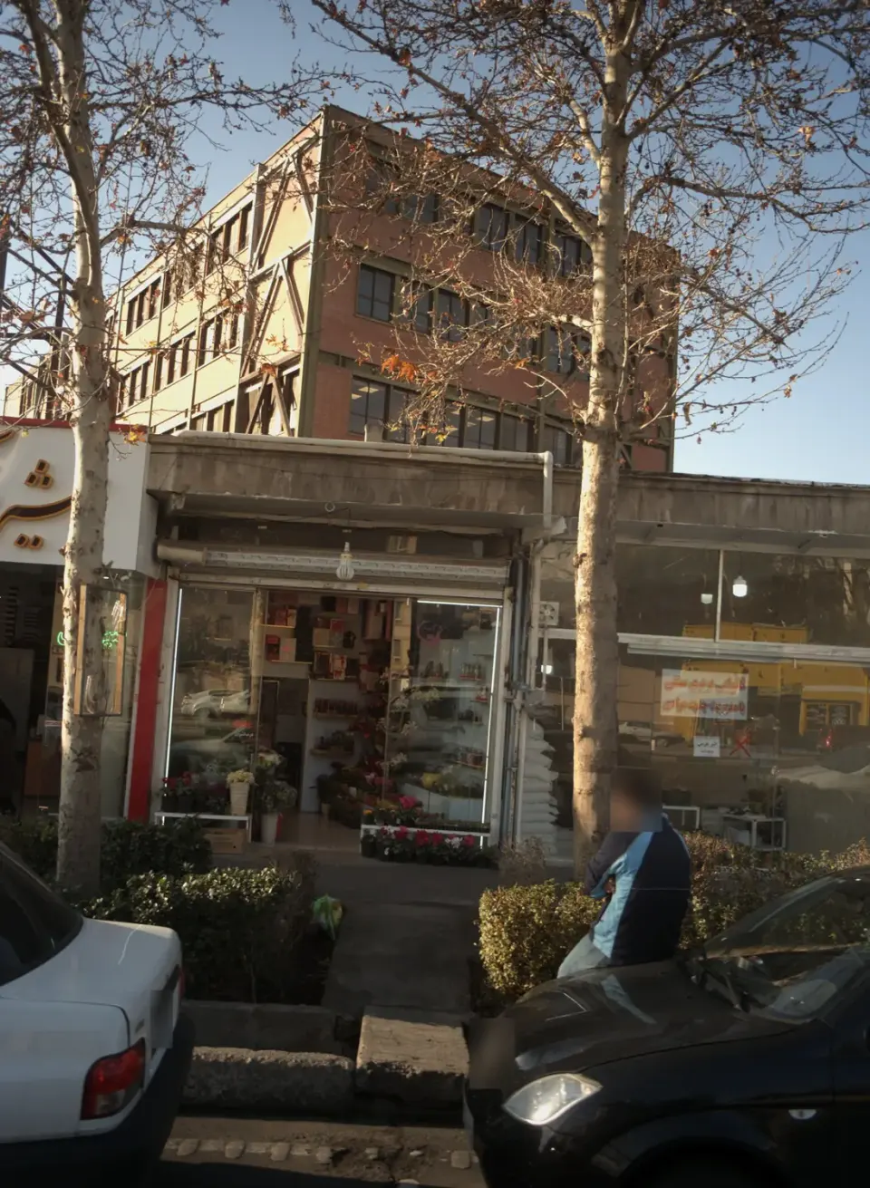 گلفروشی گلسار