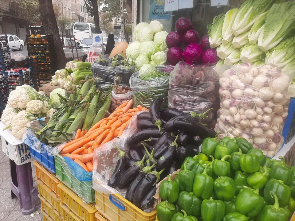 میوه فروشی دست چین