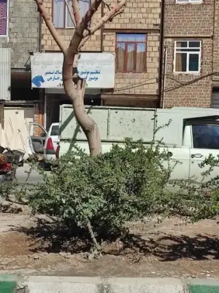 مکانیکی قائم