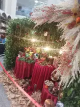 شهروند ایران زمین