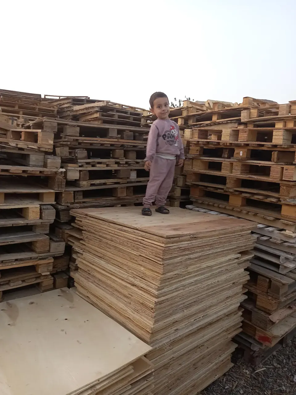 انبار چوب محمدیان