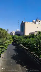 مجتمع فرهنگی انصار