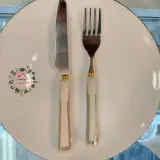 بلور و کریستال سلیمانی