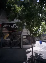 املاک واحدیان