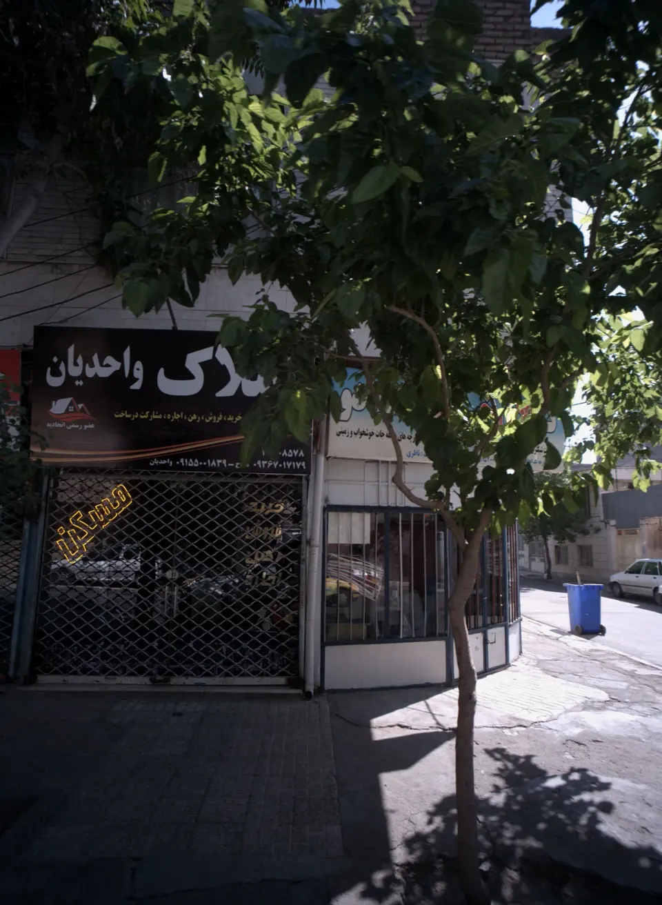 املاک واحدیان