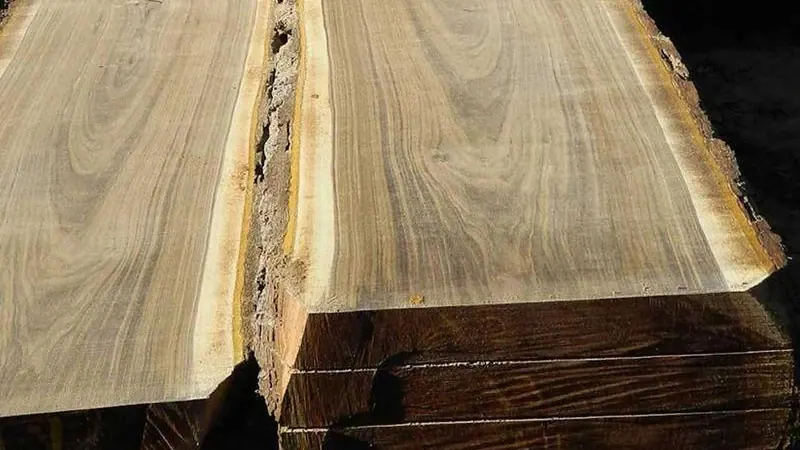 سری تراشی گلشاهی