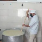 حلیم پزی رضا