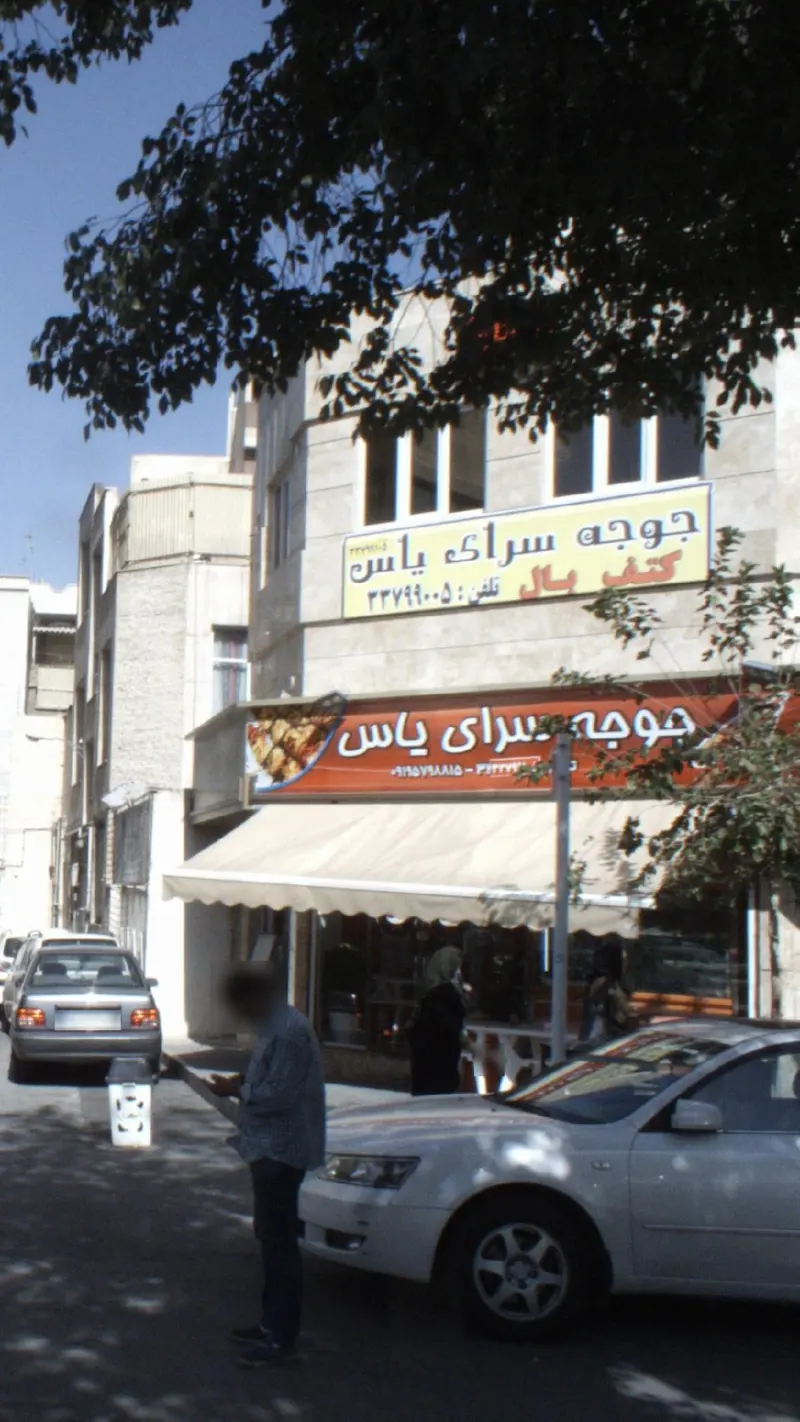 جوجه سرای یاس