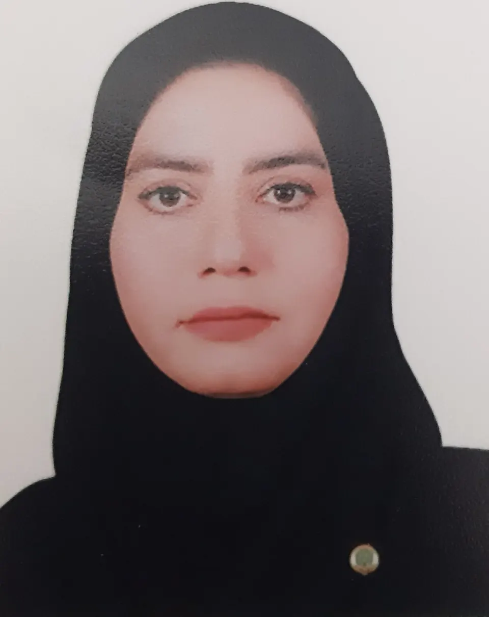 وکیل مینا احمدیان