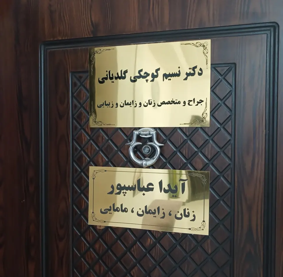 مطب آیدا عباس پور