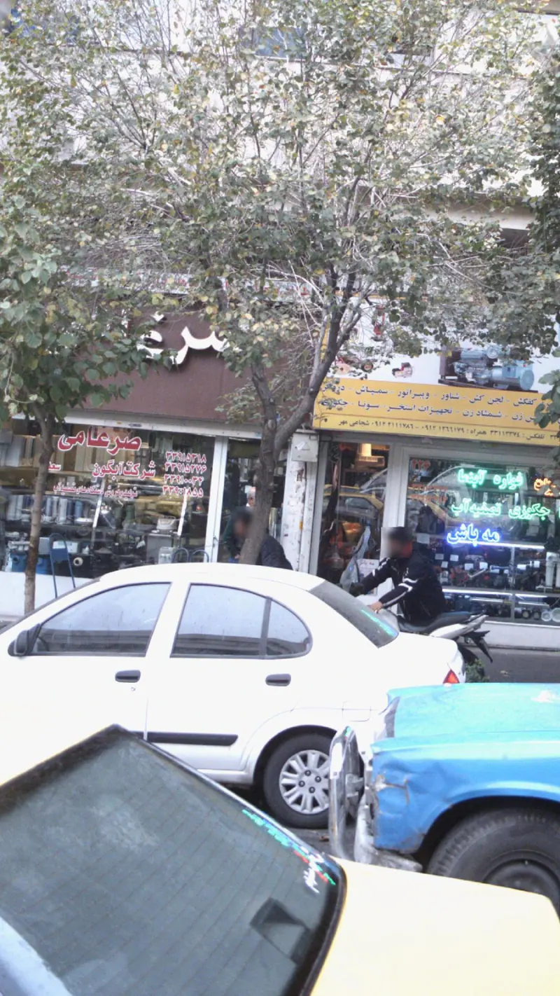 ضرغامی