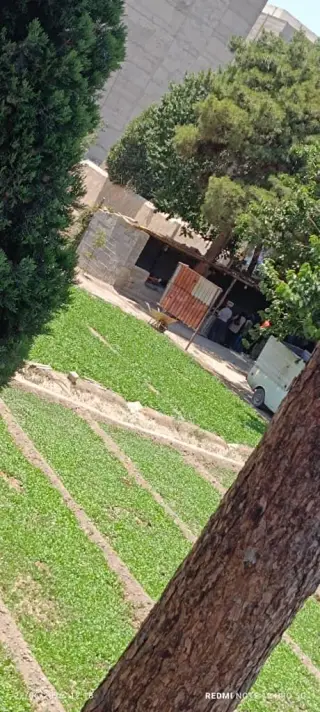 باغ سبزی امام رضا