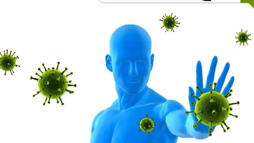 فروشگاه علیشاهی