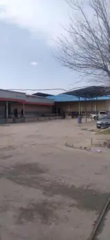 کشتارگاه مرغ برادران خلج