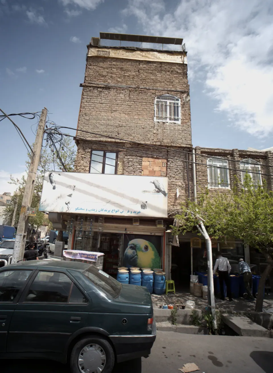 پرنده فروشی