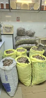 عسل گلسا