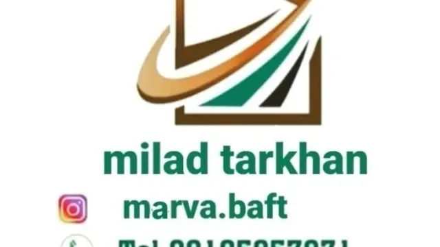 تزئینات سنگ علی