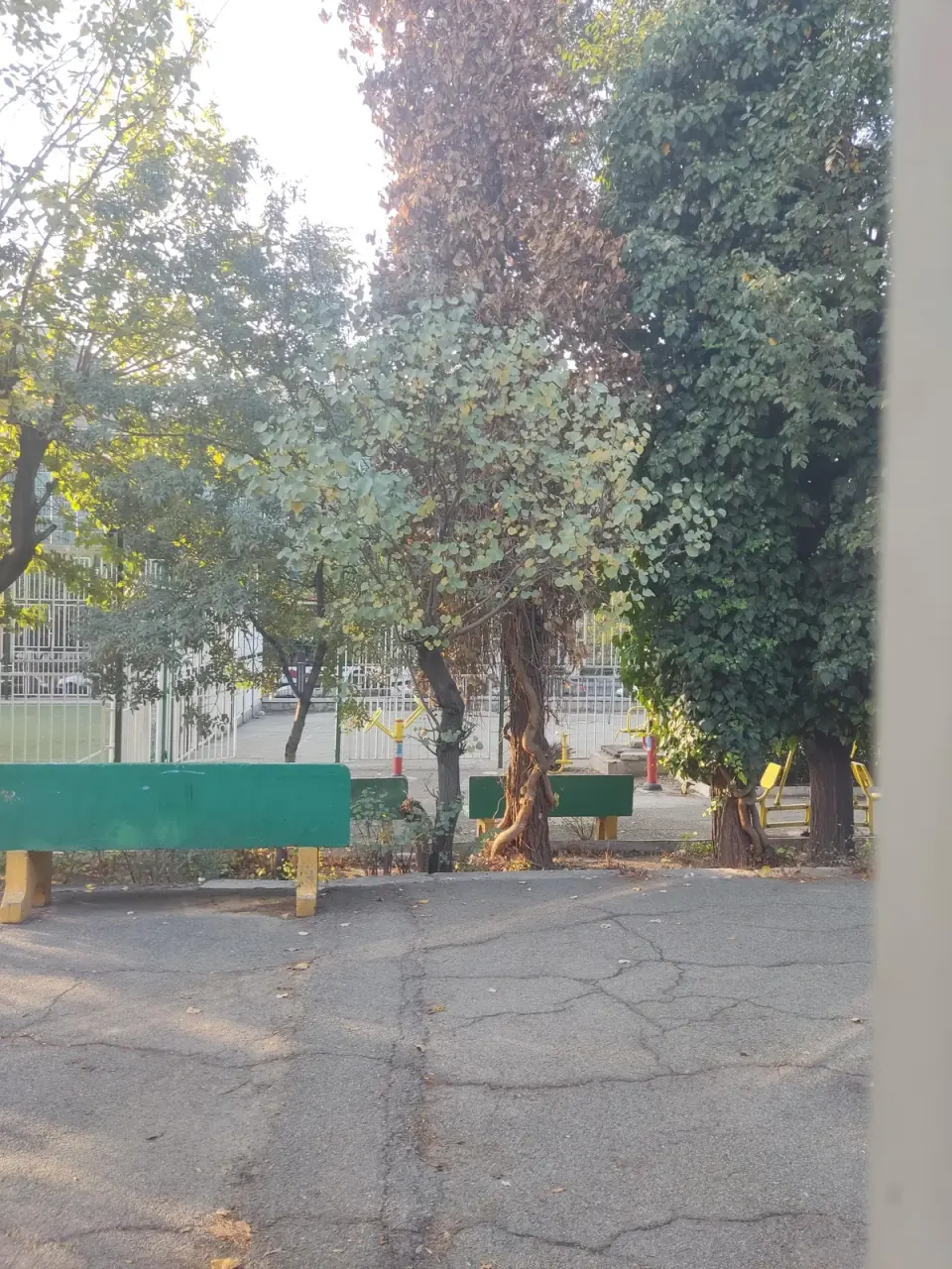 دانشکده شهدای مکه