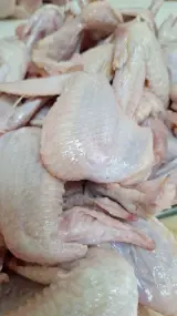 باران پروتئین توسکا