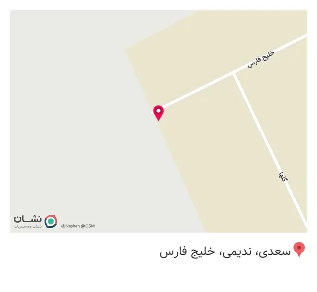 تیدا شیمی رایکا