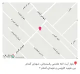 پخش مواد غذایی دوقلوها