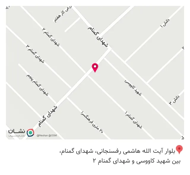 پخش مواد غذایی دوقلوها