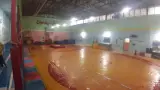 باشگاه ژیمناستیک و کشتی