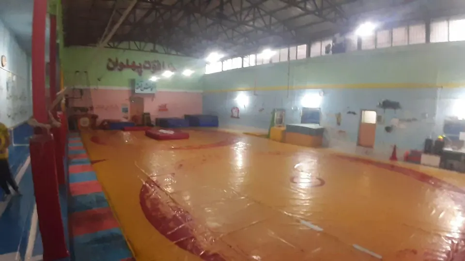 باشگاه ژیمناستیک و کشتی