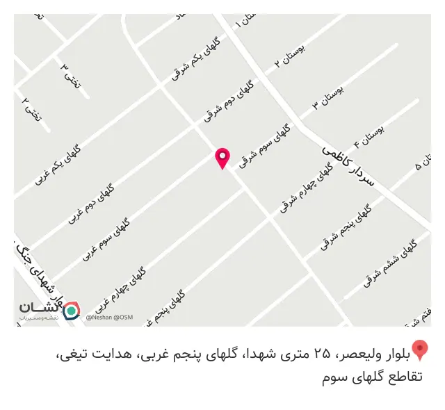 کفش استانبول