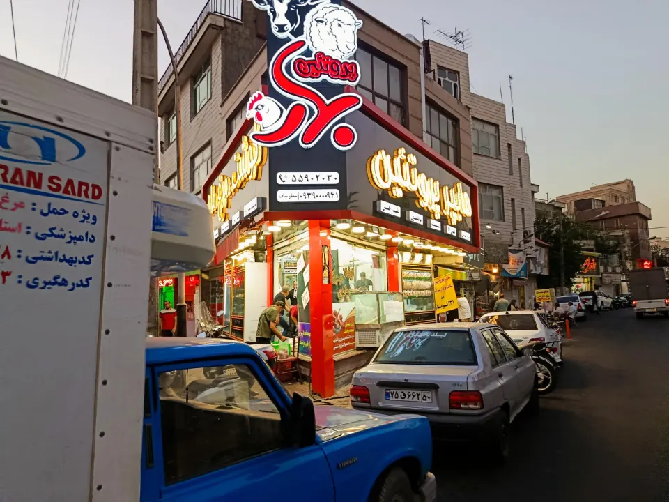 مرغ بهار