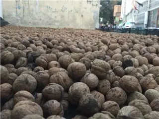 فروش گردو و مغز گردو تویسرکان