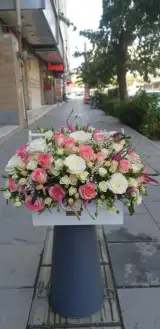 گل آرایی لوتوس