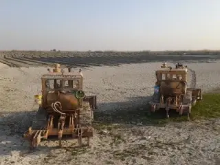 اجاره بلدوزر D6