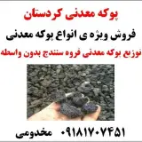 پوکه معدنی کردستان