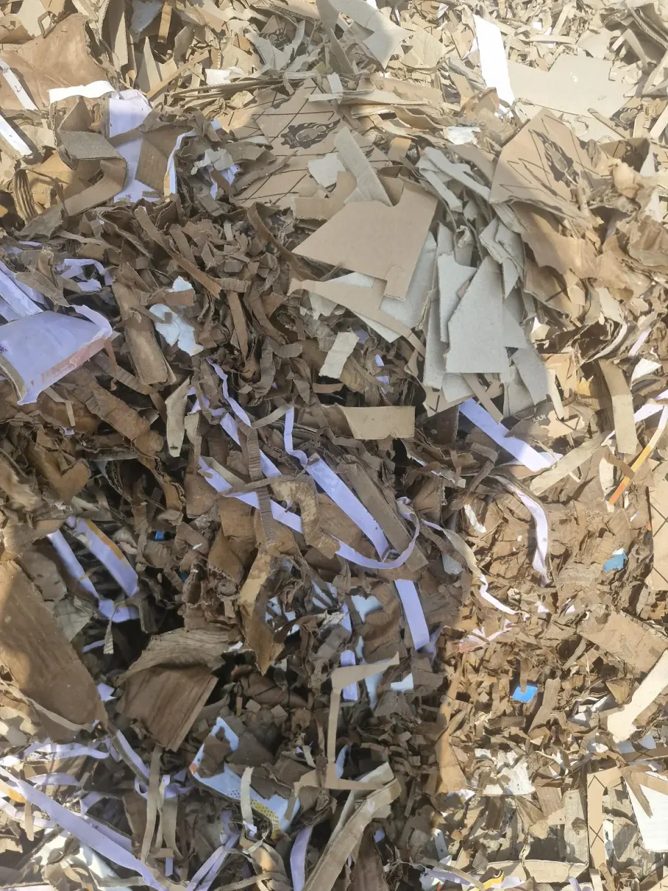 پرس کارتن سلحشور