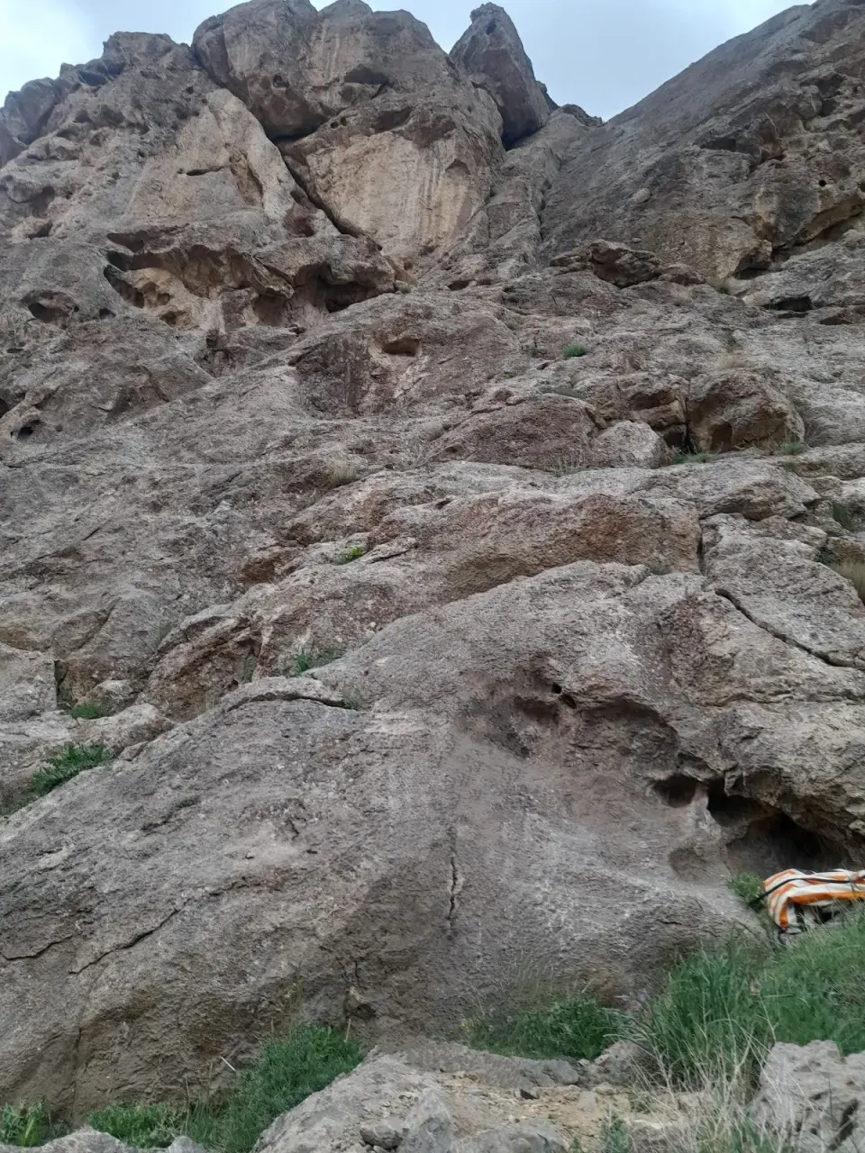 موسسه حقوقی نسل فردا