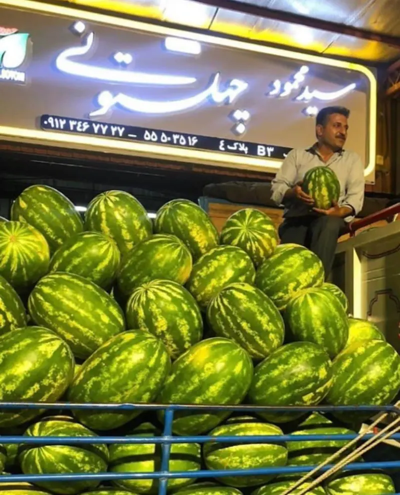 بازرگانی میوه و تره بار سید محمود چهلستونی
