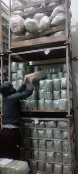 سبزیجات آماده به طبخ هلما