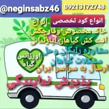 کود وخاک نگین سبز