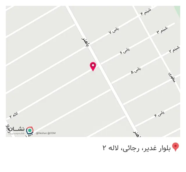 میوه و سبزی خرد کنی یِشیل