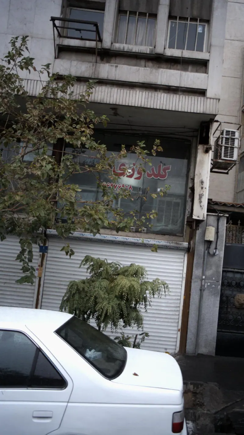 گلدوزی