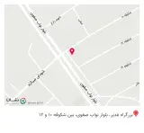 برق خودرو زرنانی