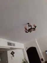 ذهن آرا