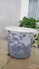 خرمای بهبهان
