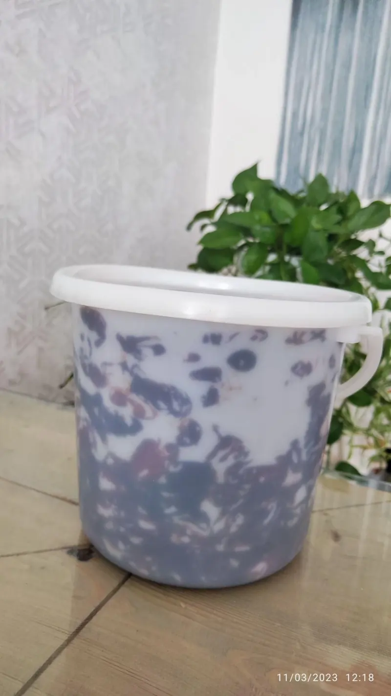 خرمای بهبهان