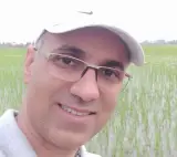 آقای برنج
