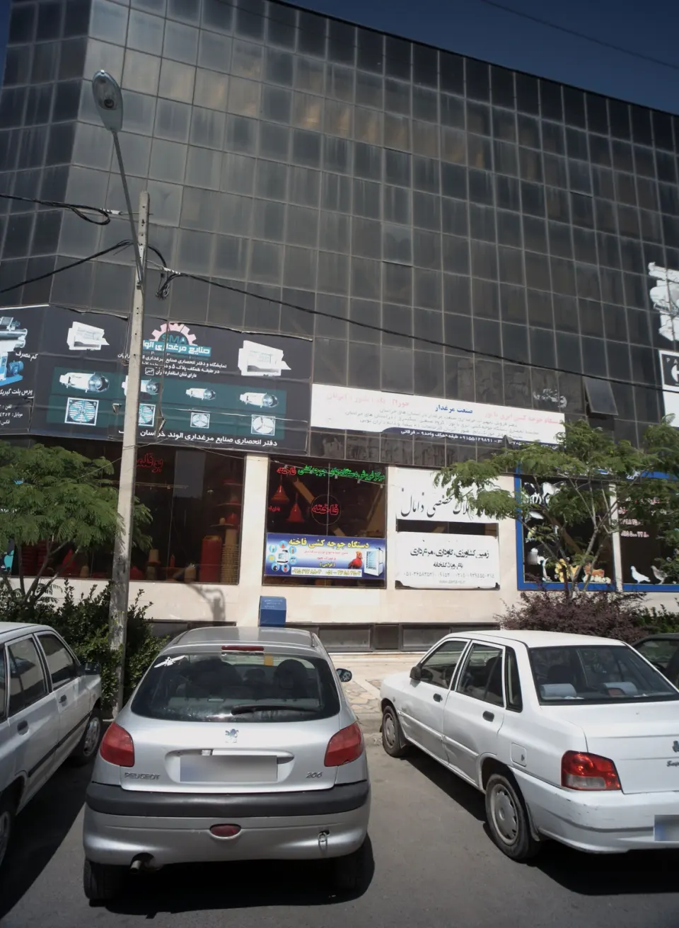 املاک تخصصی دامال