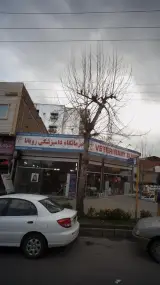 کلینیک دامپزشکی رویانا