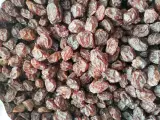 مویز و کشمش اصل دشمن زیاری